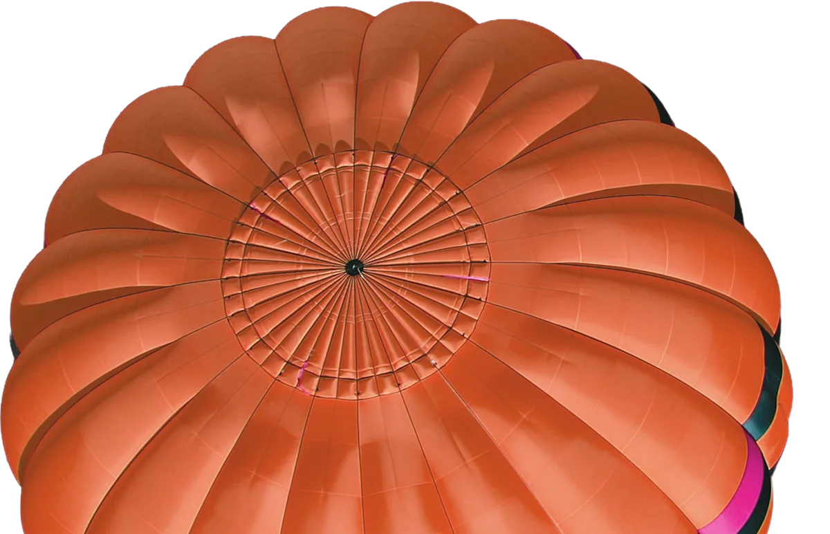 NP Experience Balloon Large SA