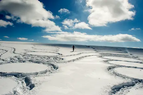 Snow art by Simon Beck on Powder Mountain 