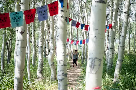 Summer at Powder Mountain 