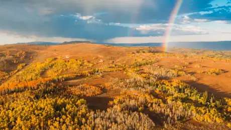 Multiple rainbows 