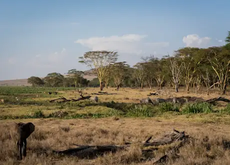 Summit Sarara in Kenya 
