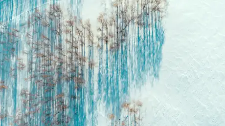Winter at Powder Mountain 